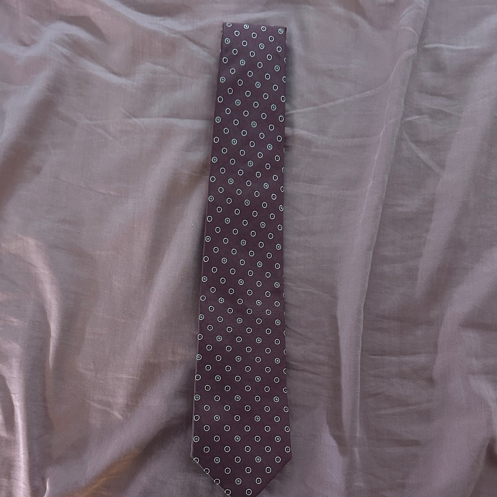 Canali Burgundy Tie with White Dots